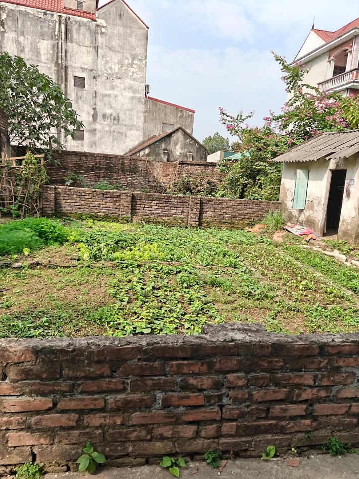 Đất Liên Mạc, Bắc Từ Liêm 46m² Sổ Đỏ - Ô Tô Đỗ Cổng