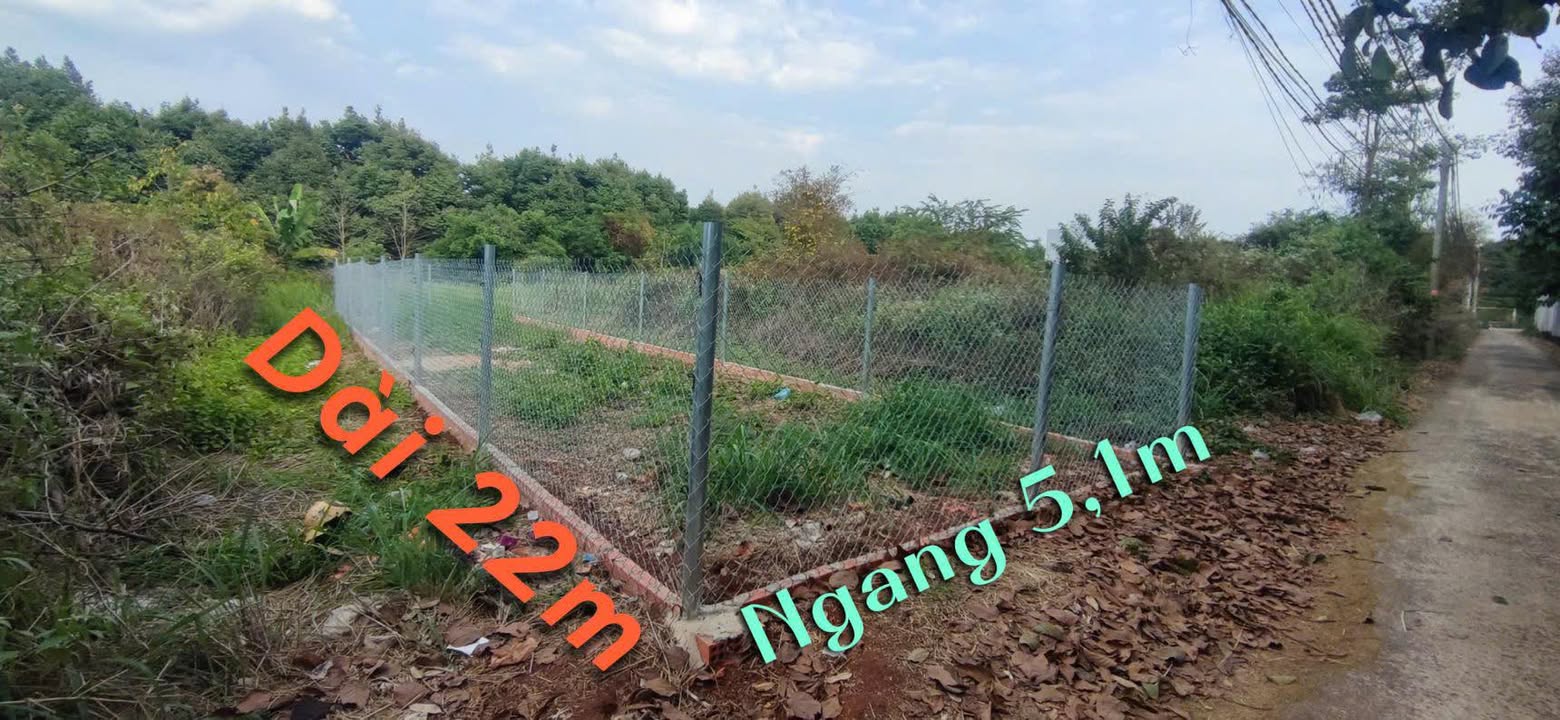 Đất nền sổ riêng 110m² đường Lê Hồng Phong, Long Khánh - Chỉ 790 triệu