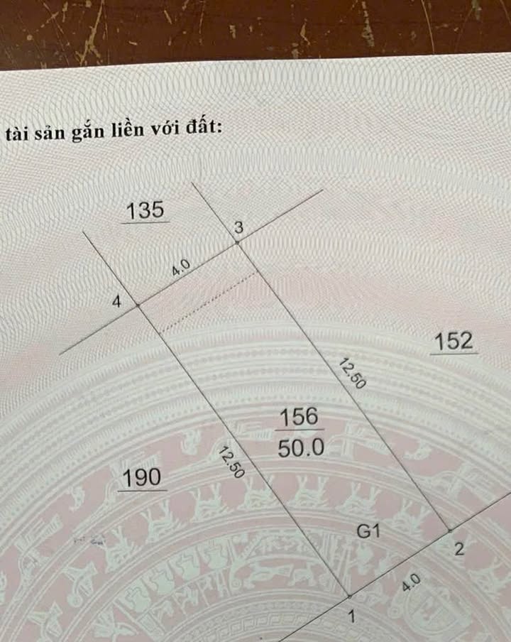 Đất Đại Mỗ Nam Từ Liêm 200m² thỏa thuận - Sổ đỏ chính chủ