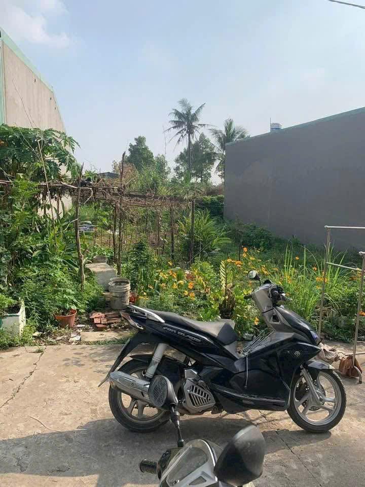 Đất nền Phú Sơn Tân Phú 100m² giá 300 triệu - Sổ hồng chính chủ