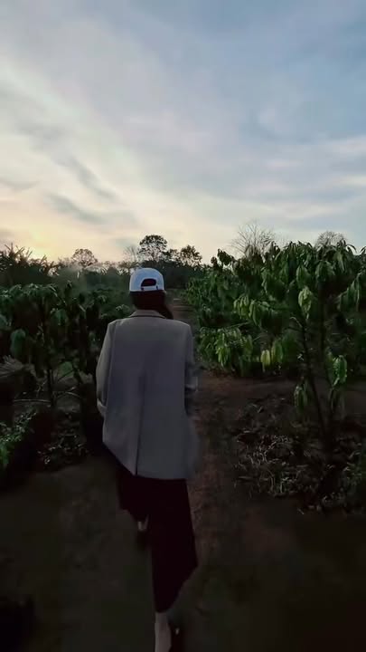 Bán Gấp 2160m² Đất Vườn Cà Phê Vị Trí Đắc Địa Gần QL25