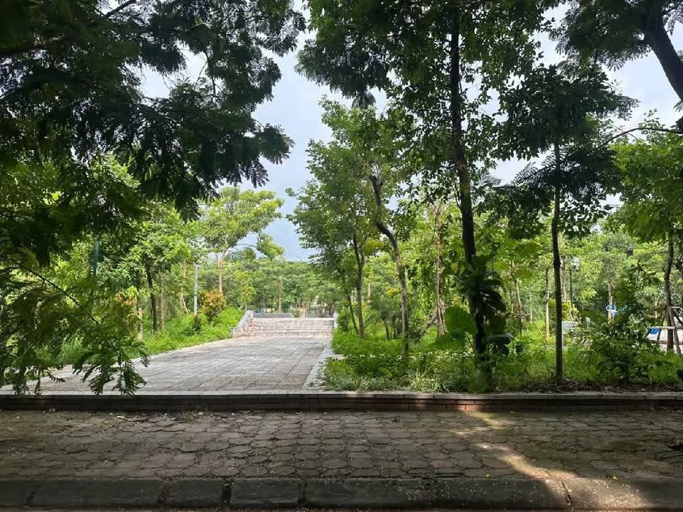 Đất nền Hàng Bè, Hà Đông 50m² - Tiềm năng tăng giá!