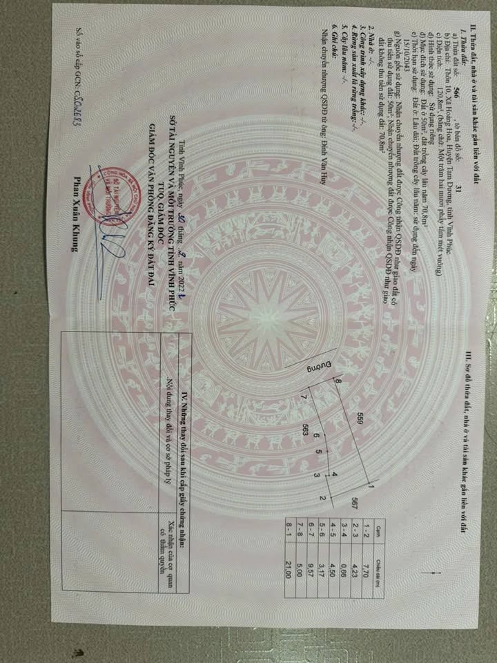 Đất nền Tam Dương 120m² giá 6 tỷ - Vị trí đẹp, tiềm năng sinh lời F0