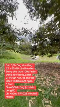 Bán Gấp 4030m² Vườn Sầu Riêng Trúng Mùa - Cần Thơ