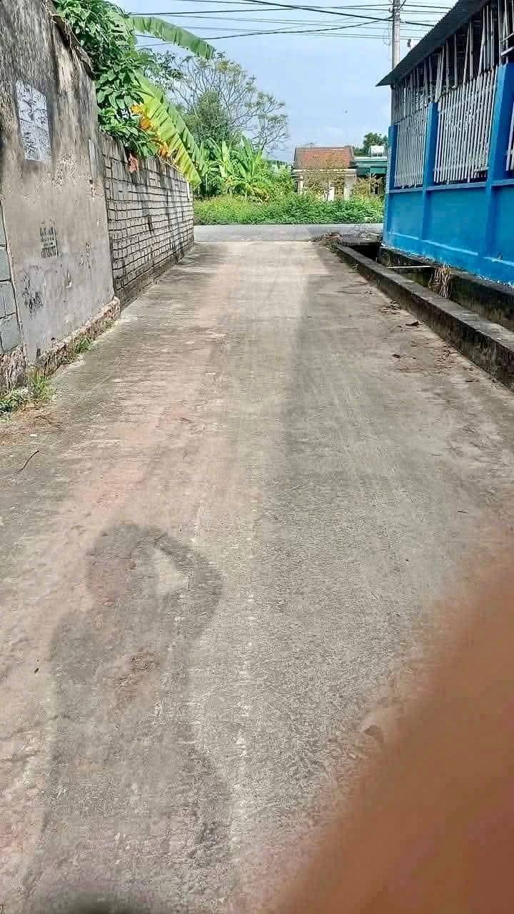 Đất nền Thượng Hiền, Kiến Xương 99m² - Giá chỉ 4xx triệu, tiềm năng sinh lời cao