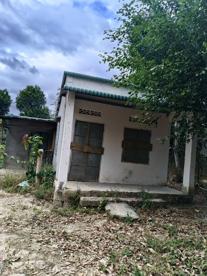 Bán Gấp Nhà Vườn 358m² 380 Triệu - Đầu Tư Sinh Lời Tại Khánh Sơn