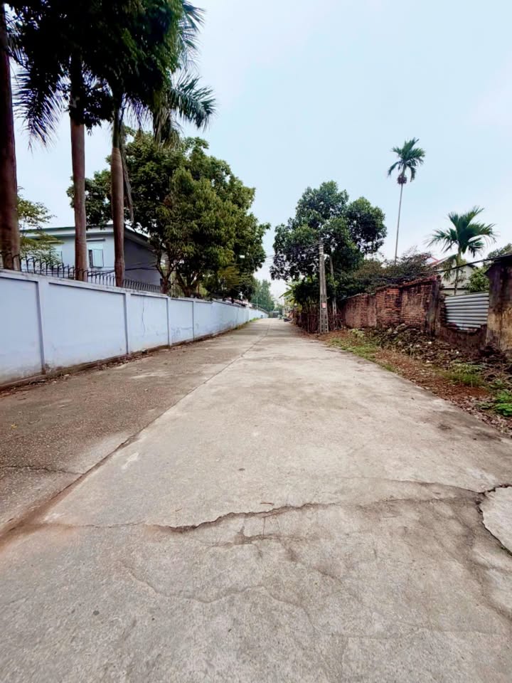 Đất Khu Lăng Cẩm 140m² Việt Trì - 2 Mặt Tiền Sổ Đỏ Chính Chủ