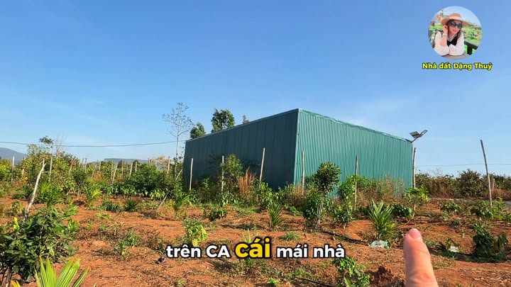 Đất Nền Mang Yang, Gia Lai 5ha – Sổ đỏ chính chủ, Tiềm năng cực lớn!