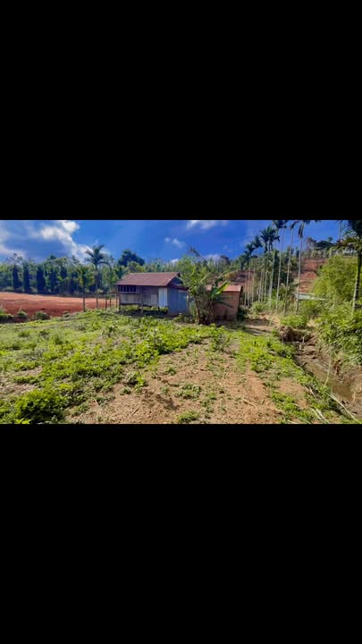 Đất Vườn Đắk Nông 540m² Sổ Hồng - View Suối Ao Cá