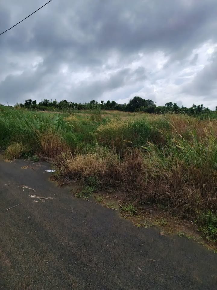 Đất Nền Lộc Quảng, Bảo Lộc - 245m² - Sổ Đỏ, Giá Tốt