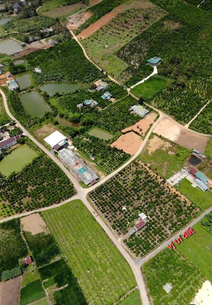 Đất Nền Ngô Tất Tố Bảo Lộc 994m² giá 1.99 tỷ - Sổ Đỏ Chính Chủ!