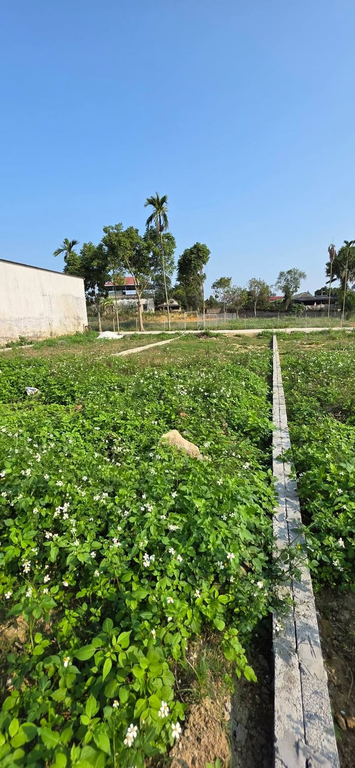 Đất nền Tân Cương, TP Thái Nguyên 154m² - Ngay trung tâm hành chính