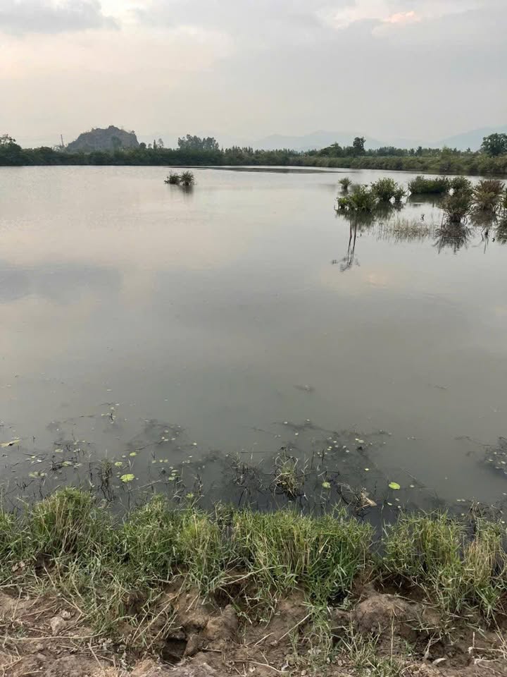 Bán Đất Nuôi Trồng Thủy Sản Yên Thanh Uông Bí 6900m² - Giá Đầu Tư Tốt