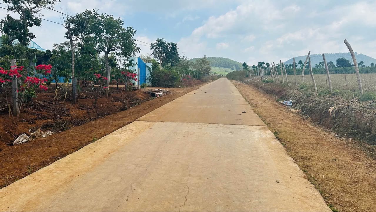 Bán Đất Hẻm Trường Chinh Pleiku 300m² - Sổ Đỏ Rõ Ràng, Giá Tốt