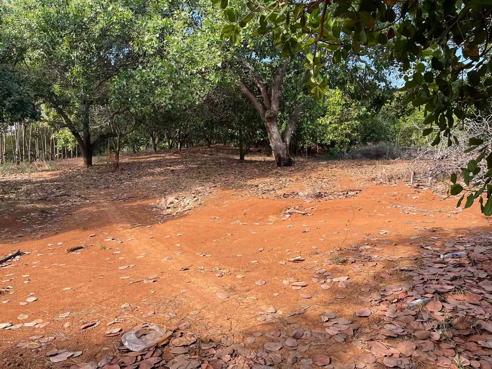 Bán Đất Vườn Đồng Phú Bình Phước 3ha - Nghỉ Dưỡng Lý Tưởng