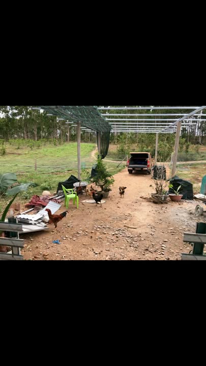 Bán Gấp Đất Vườn 3ha Sẵn Thổ Cư, Gia Lai - Giá Tốt