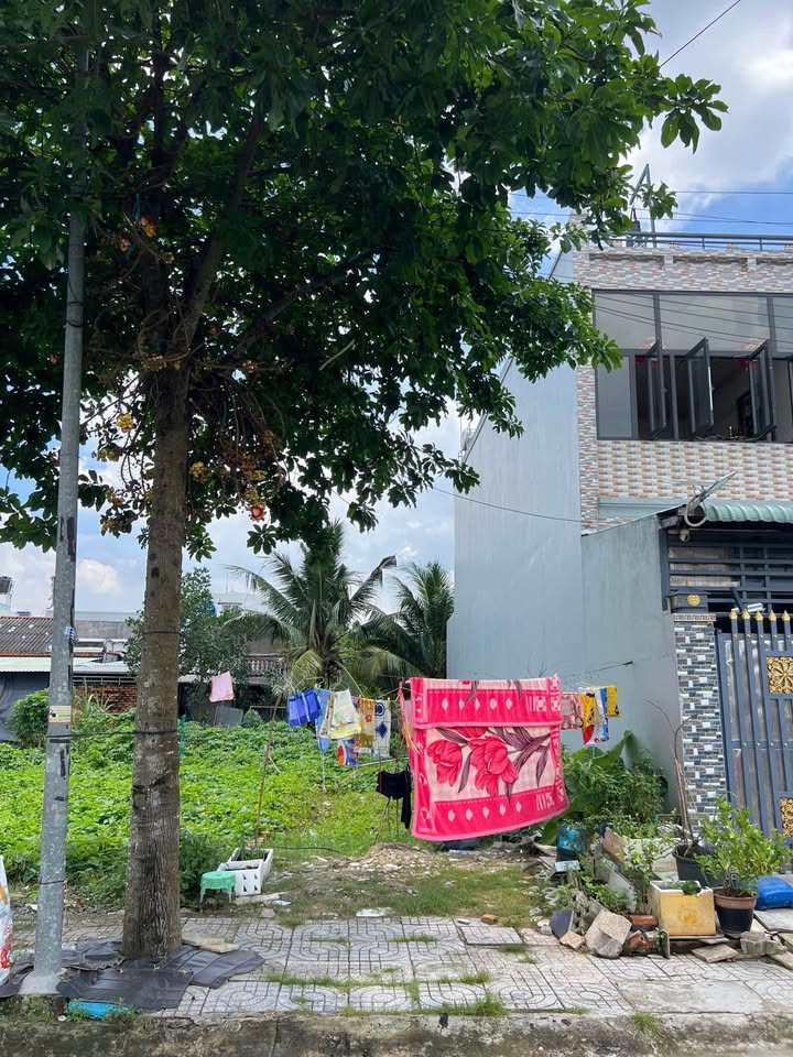 Đất Trị Yên Riverside 84m² 2.225 tỷ - Sổ đỏ chính chủ