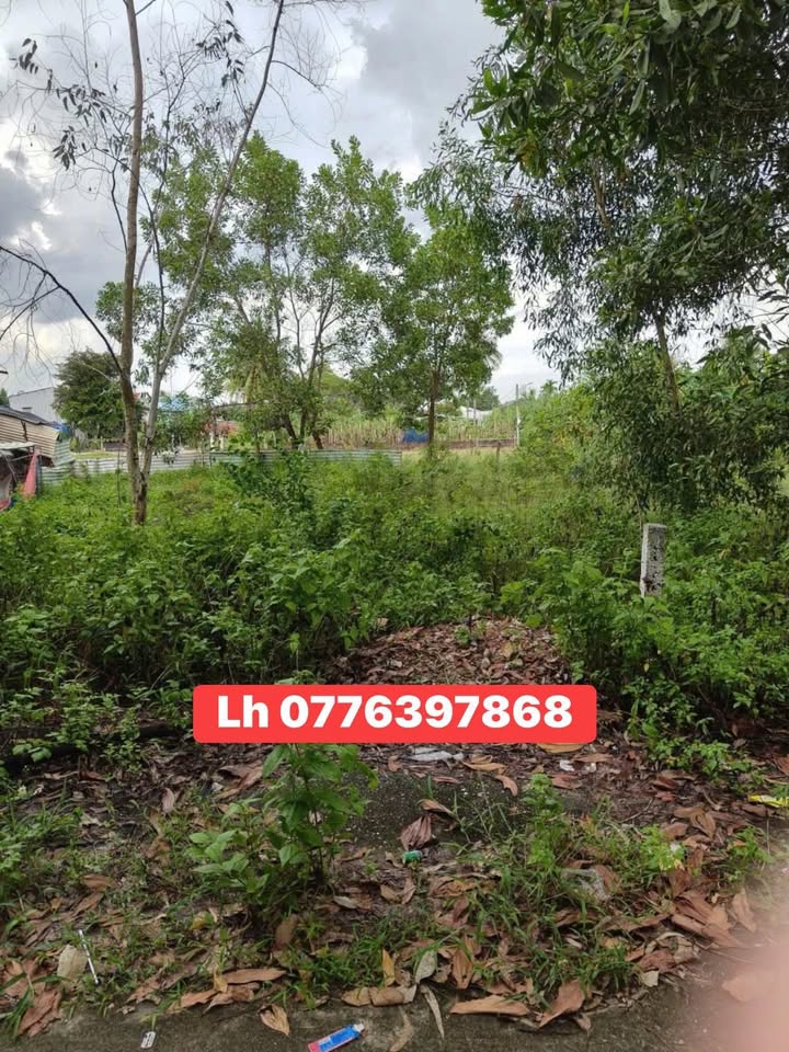 Đất nền Hòa Tiến 204m² - Sổ đỏ chính chủ, xây dựng tự do!