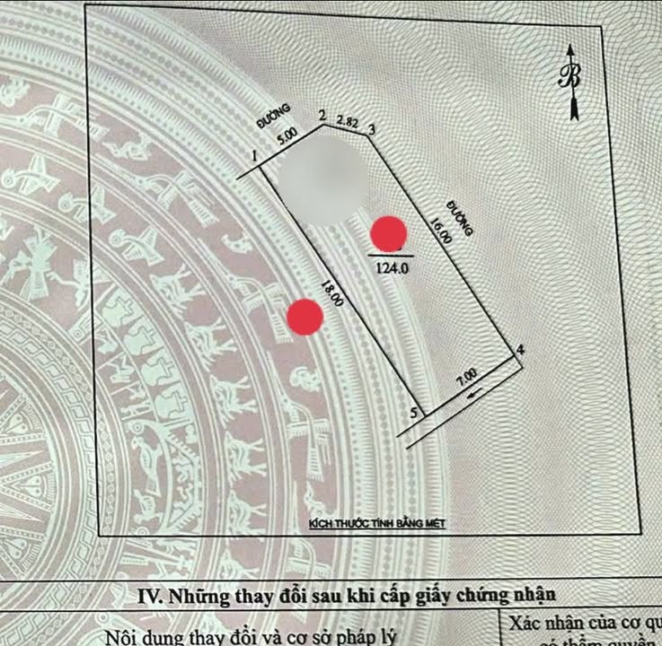 Bán Đất Lô Góc 124m² Tại Mẫu Đơn, Hưng Lộc, Vinh - Đường Ô Tô Tránh