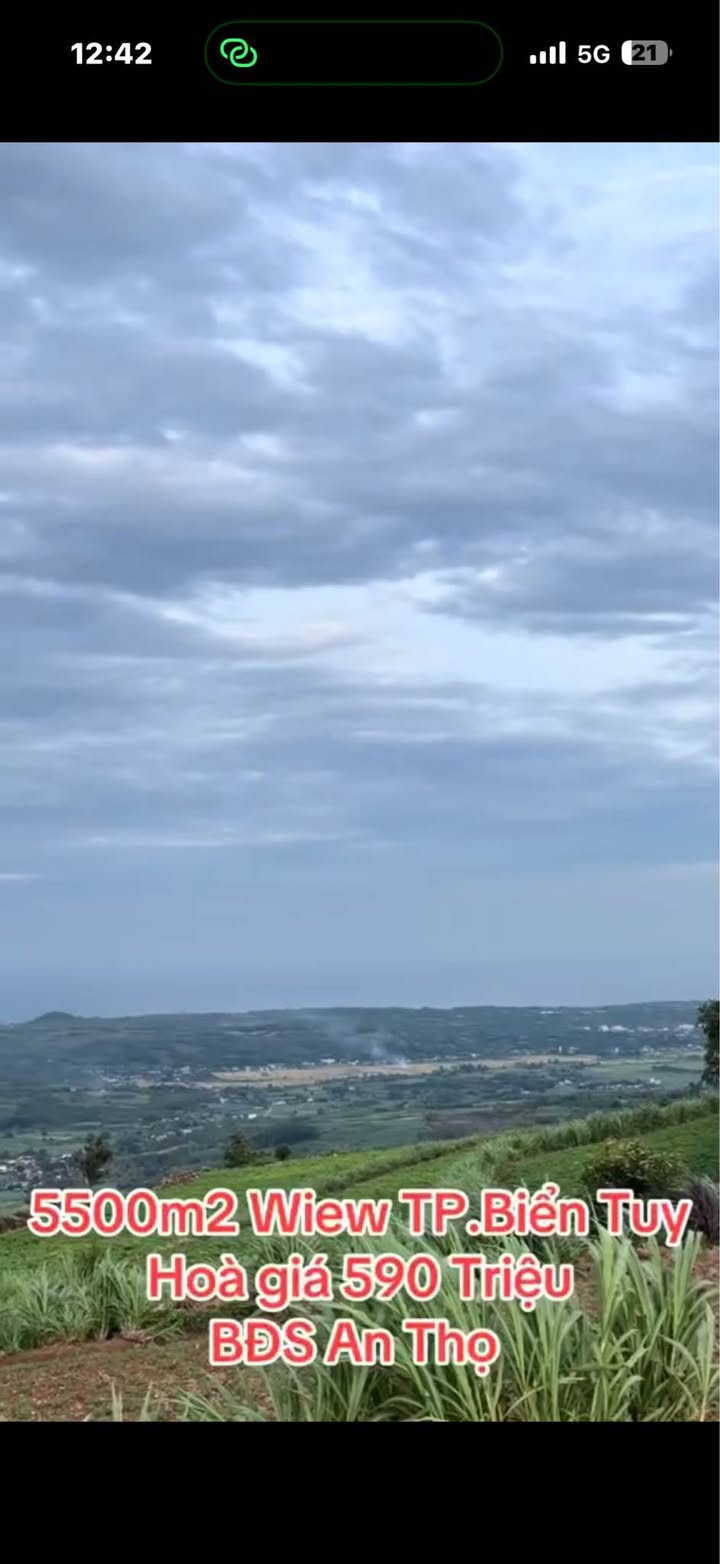 Đất vườn An Thọ Phú Yên 5500m² giá 590 triệu - Nghỉ dưỡng lý tưởng