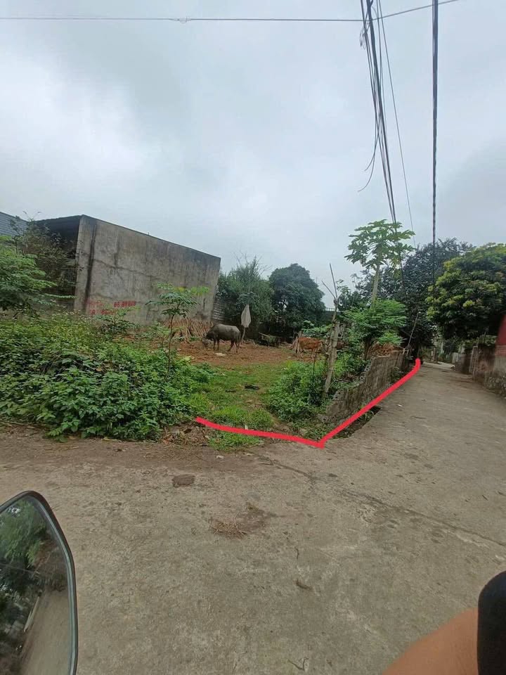 Đất nền Yên Lạc, Như Thanh 121m² – Tiềm năng tăng giá!