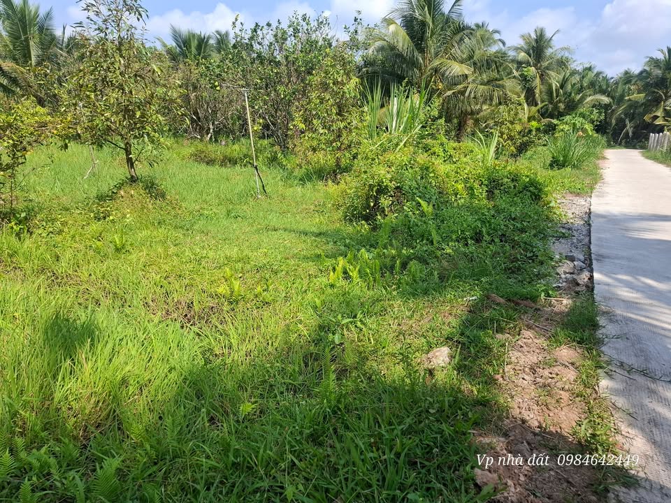 Đất Nhuận Phú Tân 2300m² - Ô tô vào tận nơi, chỉ 550 triệu