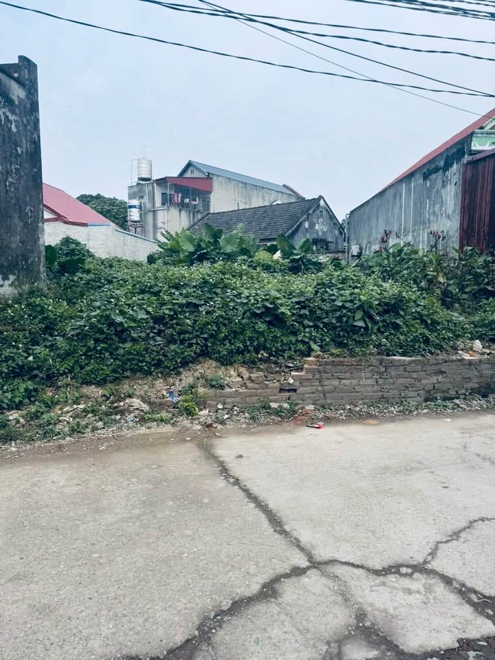 Bán đất Phường Hữu Nghị, Thái Nguyên 175m² - Sổ đỏ chính chủ