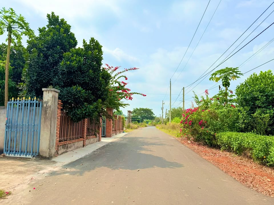 Đất nền Xuyên Mộc 540m² giá 1.78 tỷ - Sổ đỏ chính chủ, tiềm năng cao!