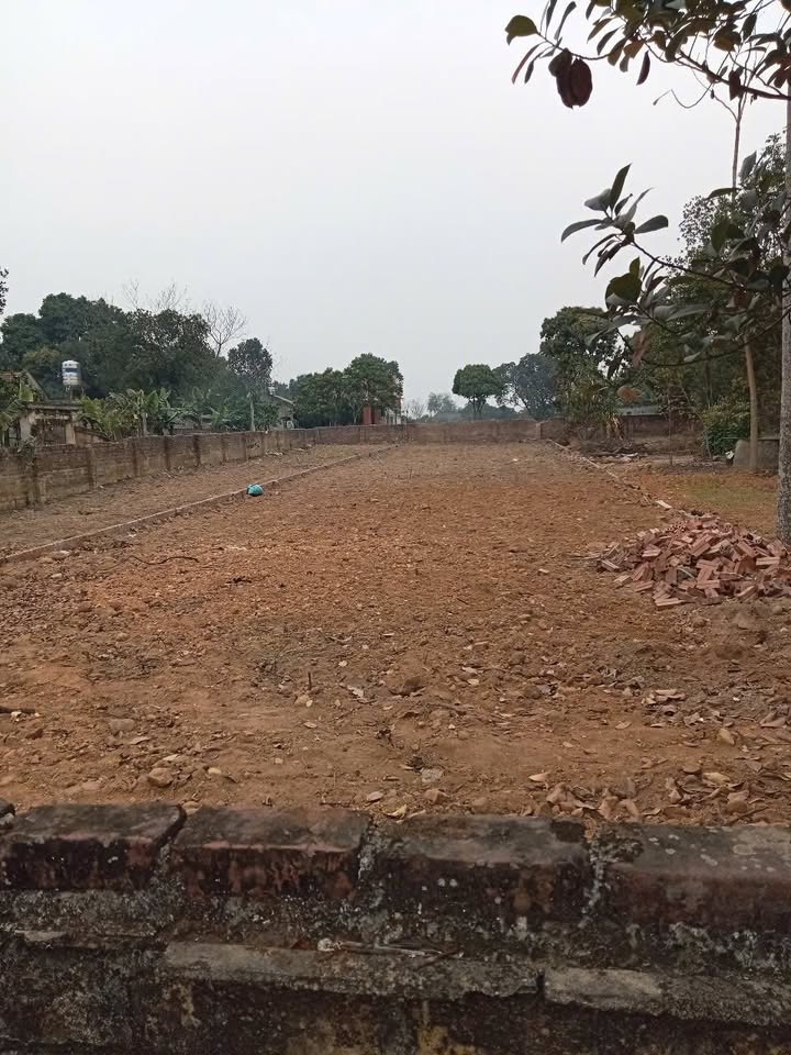 Bán đất 525m² Quảng Oai, Ba Vì - Sổ đỏ chính chủ, ô tô tránh