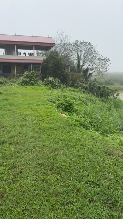 Đất nền Hạ Hòa Phú Thọ 250m² thổ cư - Sổ đỏ chính chủ!