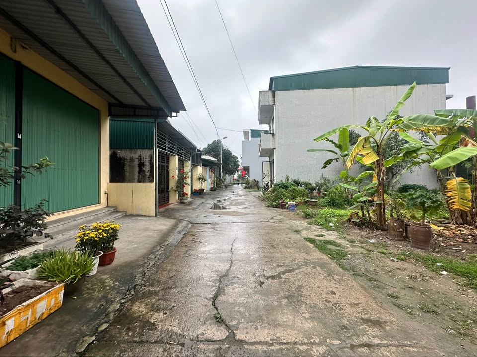 Đất nền Bích Đào TP Ninh Bình 67m² Đường ô tô tránh - Sổ đỏ chính chủ!