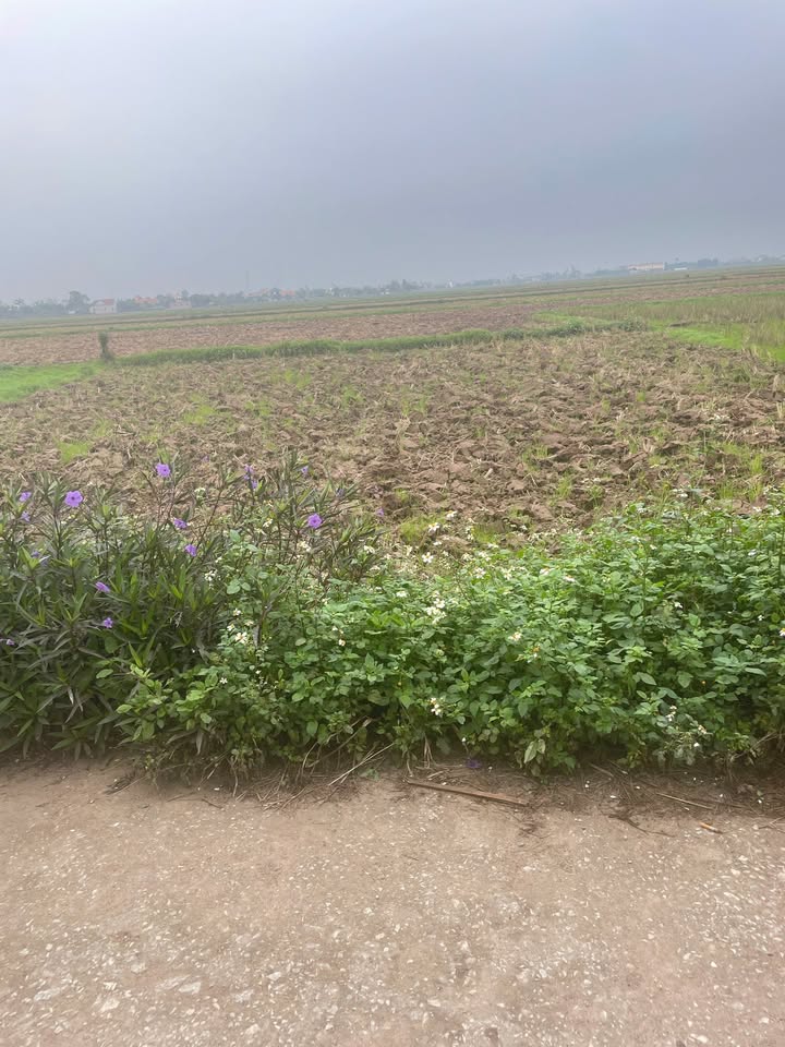 Đất nền Khánh Thành Yên Khánh 100m² - View kênh xanh mát, sổ đỏ sẵn!