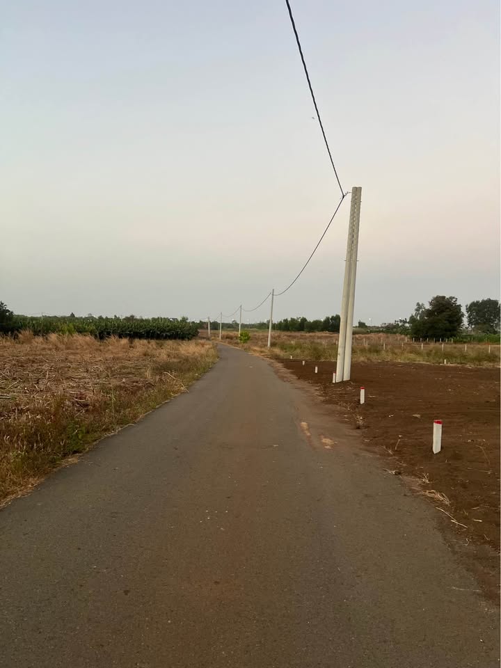 Bán Đất Mặt Tiền 238m² Phường Phú Mỹ, Quận 7 - Giá 6xx Triệu