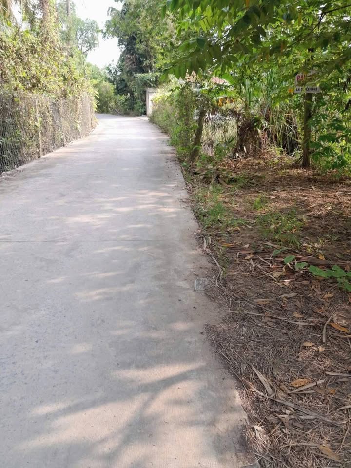 Đất nền Xã Thanh Hòa Cai Lậy 280m² - Sổ đỏ chính chủ