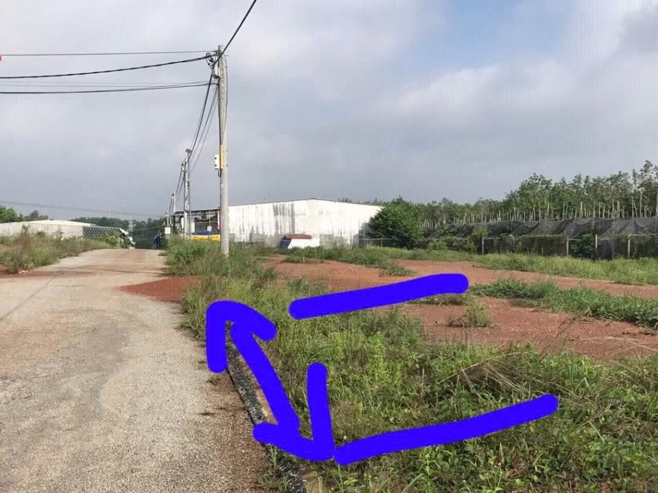 Bán Gấp Đất Nền Tân Lộc, Cần Thơ - 132m² Sổ Đỏ, Giá 600 Triệu