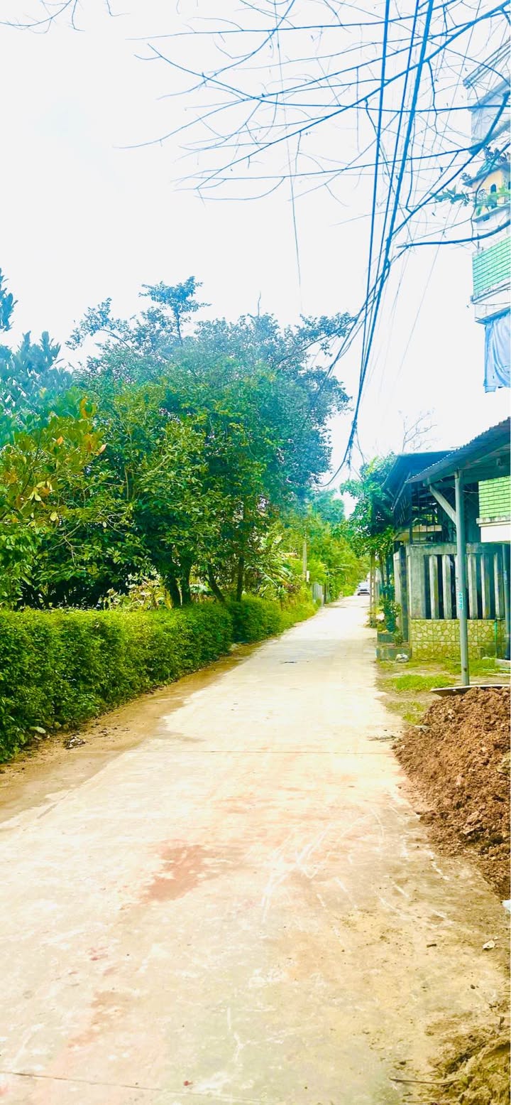 Đất Nền Mặt Tiền Kiệt 45 Đại Nam, Huế - 100m² Giá Tốt