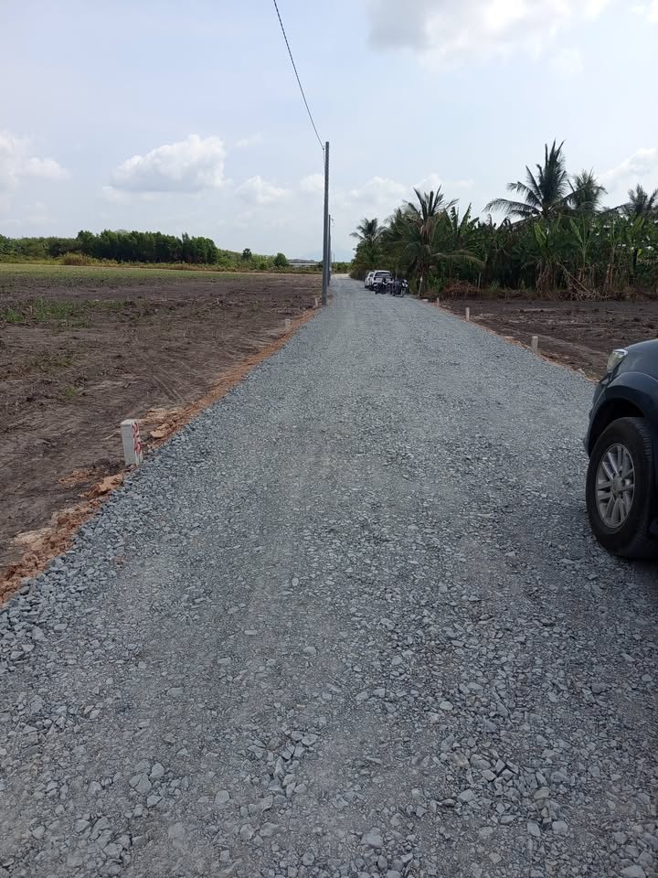 Đất Nền 1000m² Sổ Hồng Sẵn - Gần Chợ Hòa Bình, Châu Thành, Tây Ninh