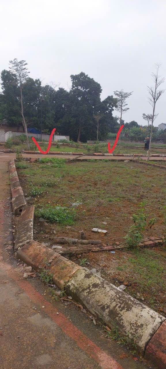 Đất nền Thạch Thất Hà Nội 91m²/3 tỷ - Sổ đỏ chính chủ