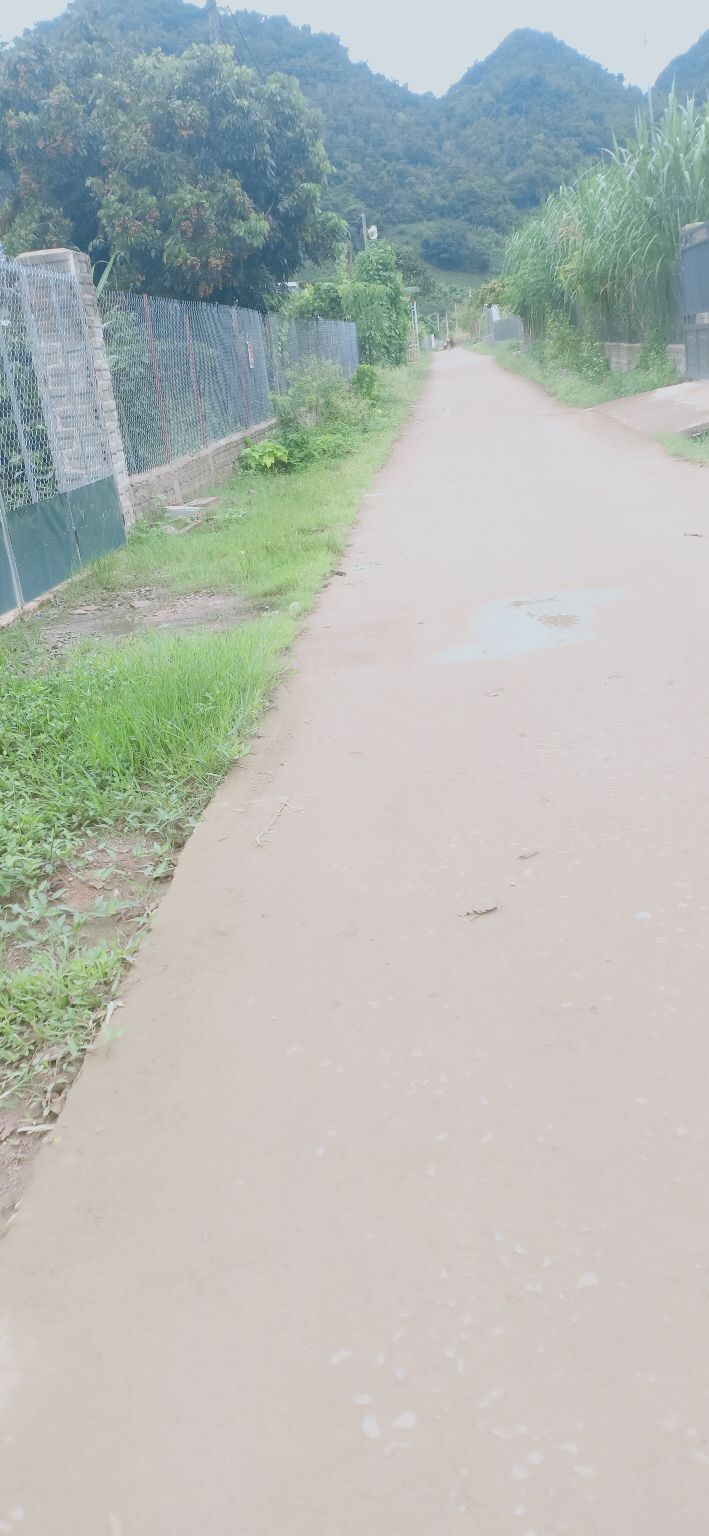 Bán Đất Vườn Phường Chiềng Sinh 1000m² - Nghỉ Dưỡng Lý Tưởng