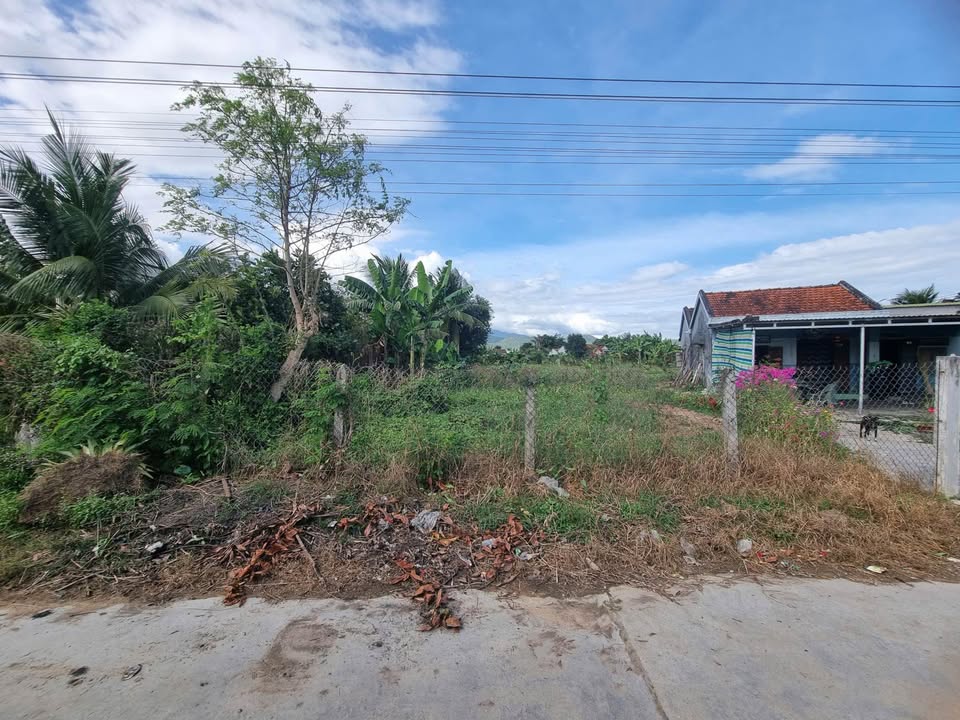 Đất Nền Ninh Hòa 670m² (200m² Thổ Cư) - Sổ Hồng Sẵn Sàng