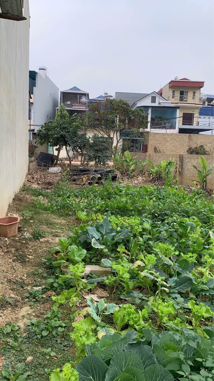 Đất nền Gia Sàng 141m² - Sổ đỏ sẵn, ô tô tránh nhau!