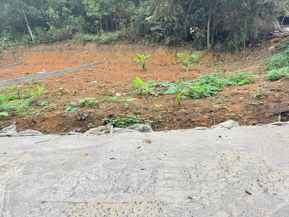 Bán Đất Phố Cò Sông Công 150m² Hướng Tây - Sẵn Sổ Hồng