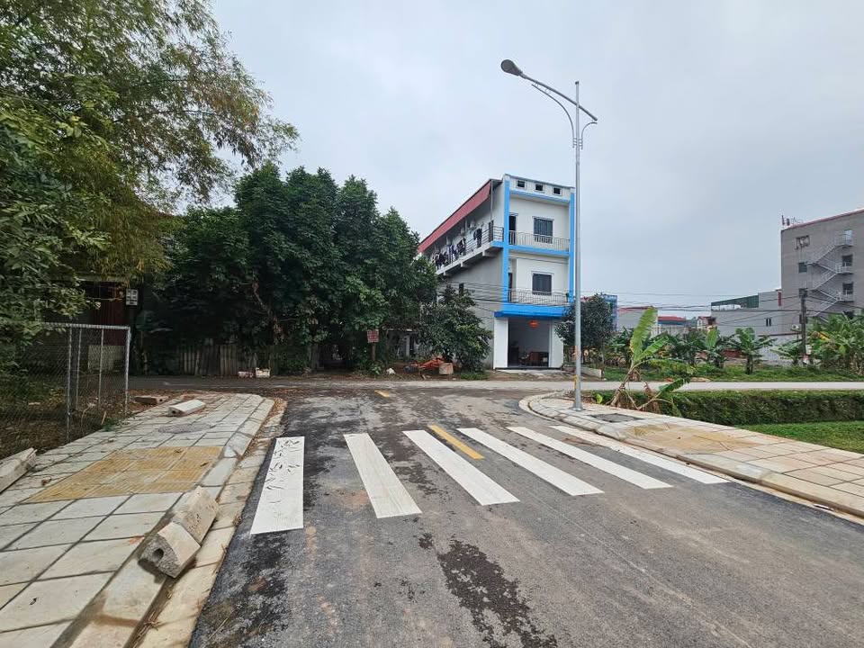 Bán Đất Lô Góc Giãn Dân Lãm Trại, Bắc Ninh - 164m² Giá Tốt