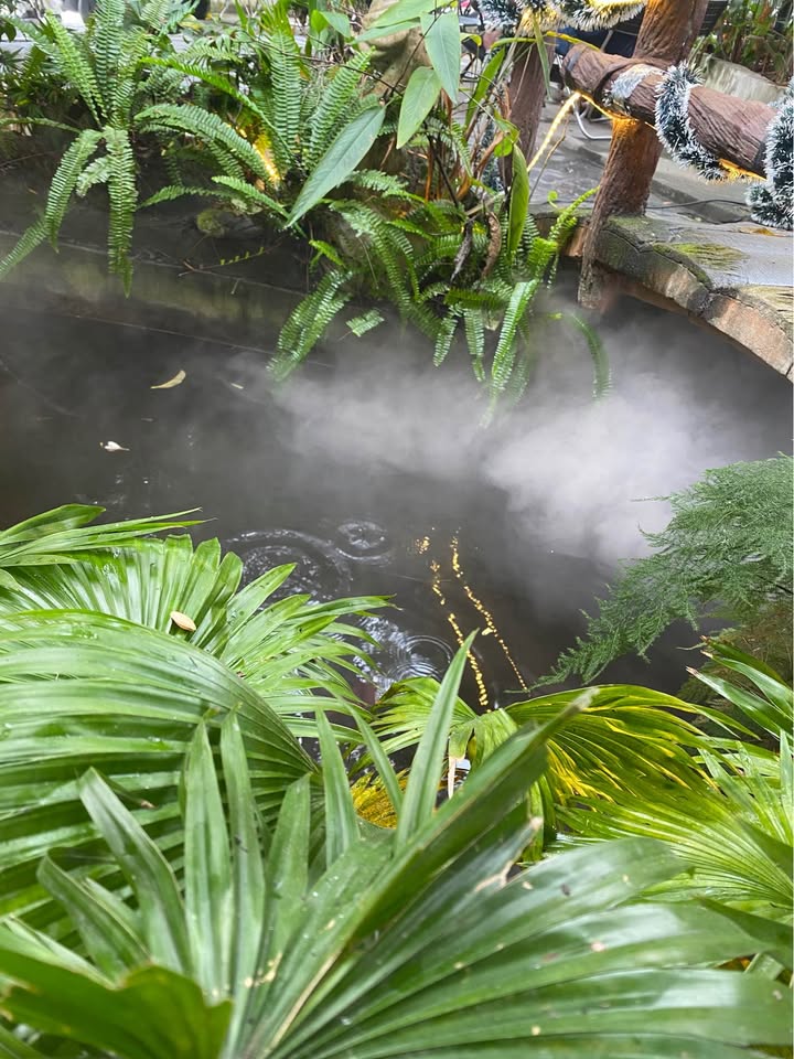 Nhà Phố Nguyễn Đăng Tuyển Bình Tân 90m² giá 6 triệu - Mặt tiền kinh doanh!