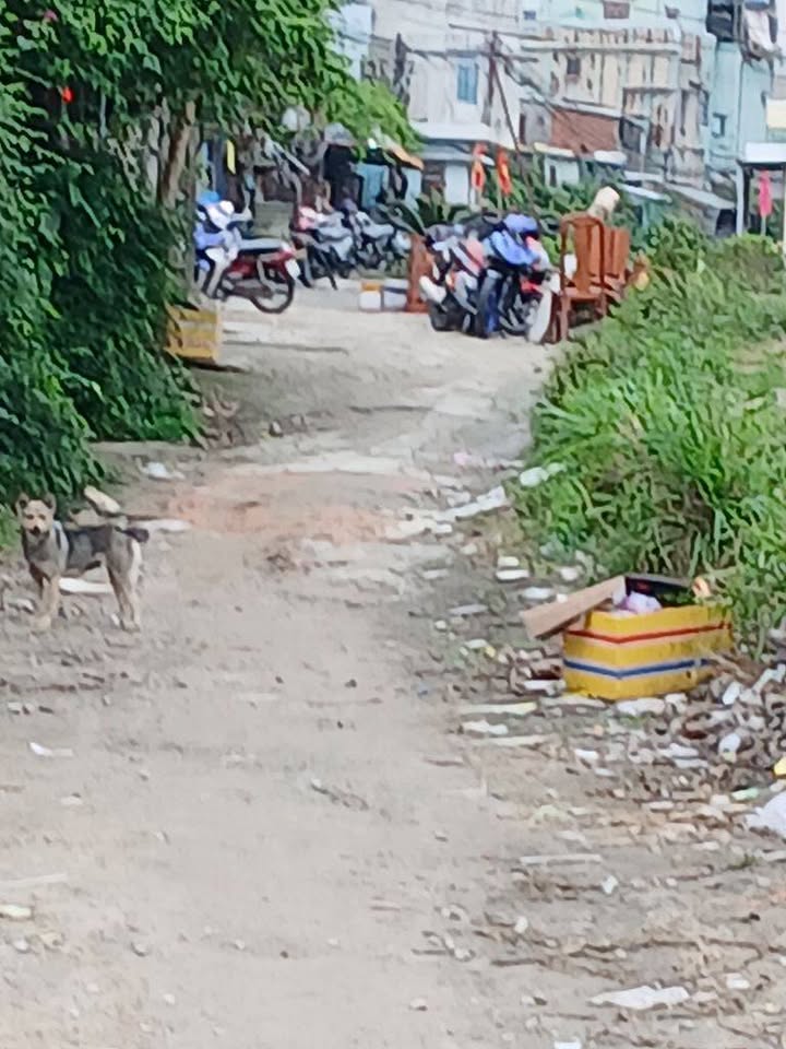 Đất nền Hòa Khánh Nam, Liên Chiểu 108.5m² - Nở hậu, ô tô vào tận nơi, giá 3.4 tỷ