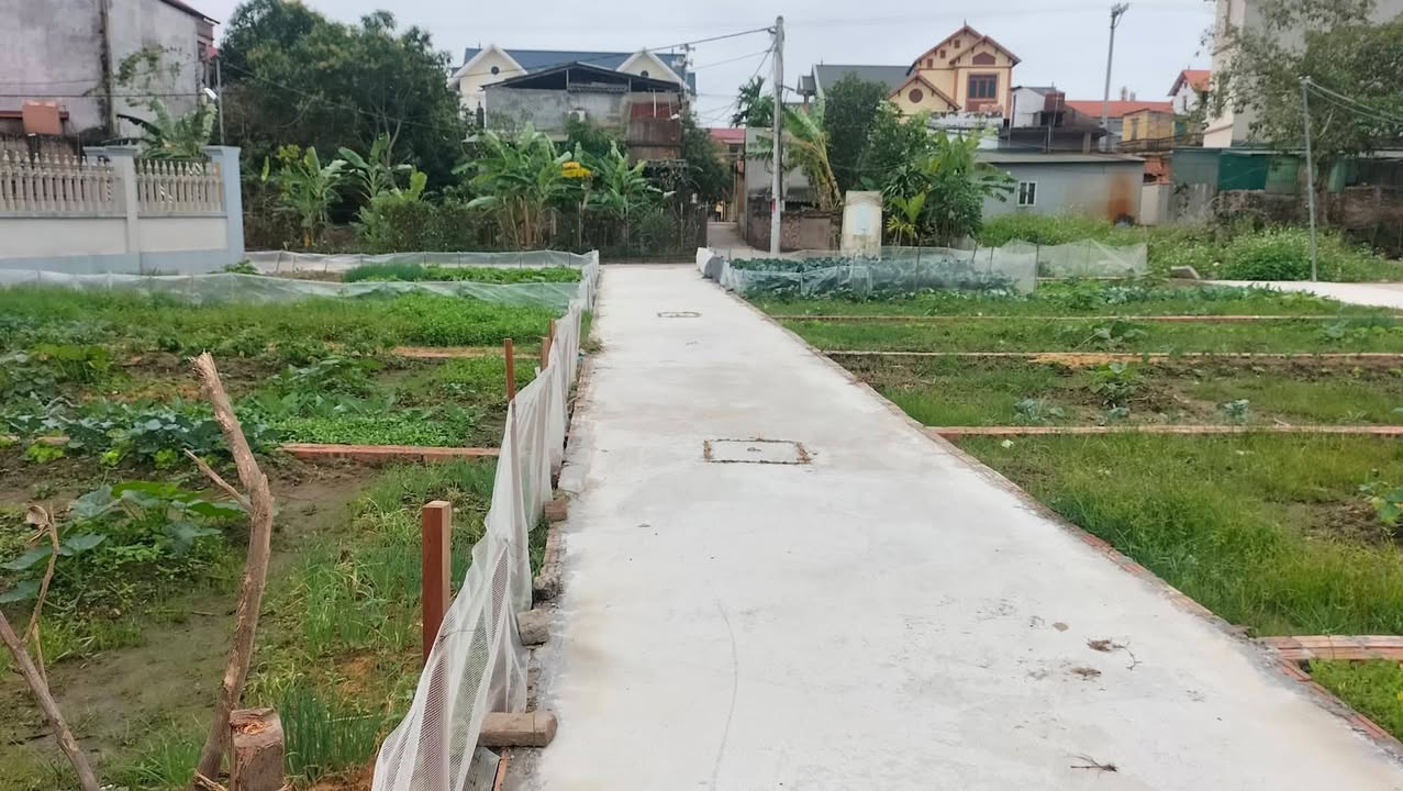 Đất nền Văn Lâm, Hưng Yên - 40m² - Sổ đỏ sẵn sàng, tiềm năng tăng giá