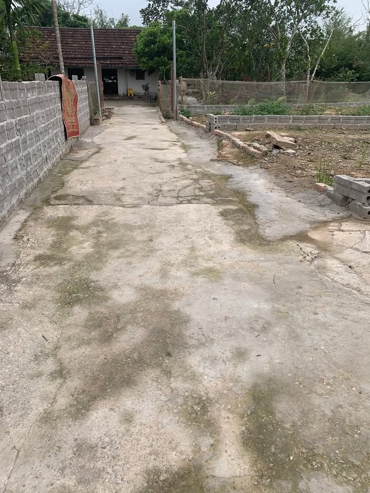 Đất nền Vụ Bản 65m² - Đường ô tô vào tận nơi, giá tốt!