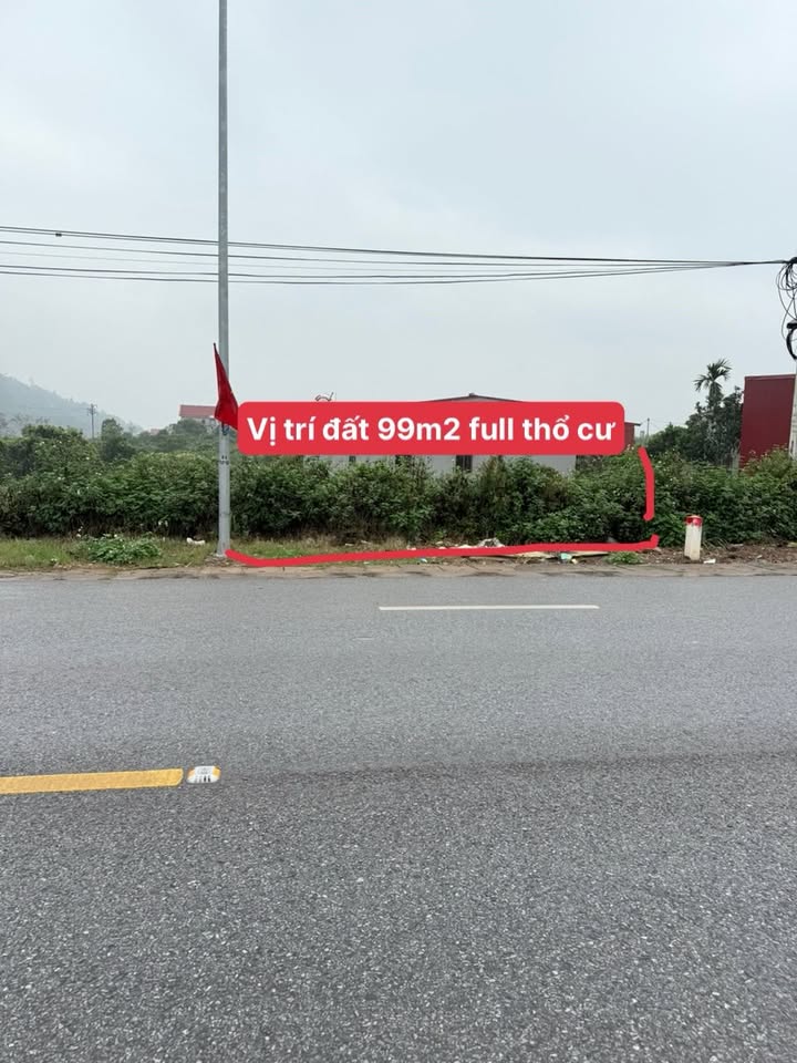 Nhà Phố Lục Ngạn 99m² - Mặt Tiền Kinh Doanh, Vị Trí Vàng!