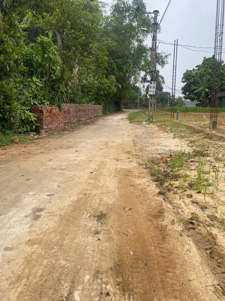 Đất nền Văn Quán 295m² - Tiềm năng tăng giá cực đỉnh!