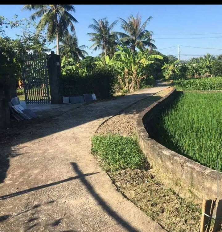 Đất nền Quảng Hợp, Quảng Xương 487m² - Sổ đỏ chính chủ!